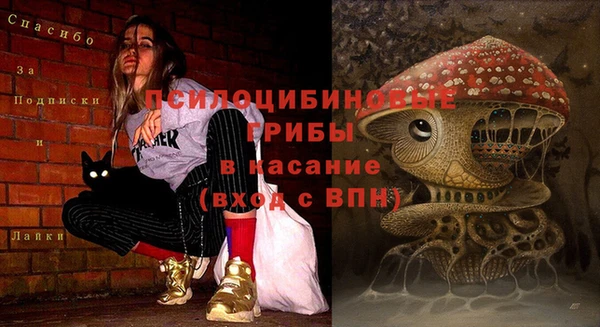 каннабис Алексеевка