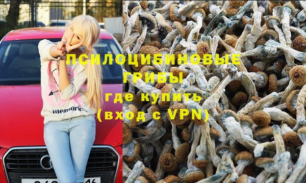 твердый Алексин
