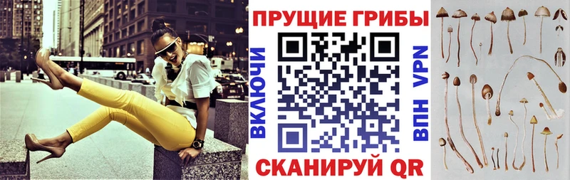 Псилоцибиновые грибы Magic Shrooms Кемь